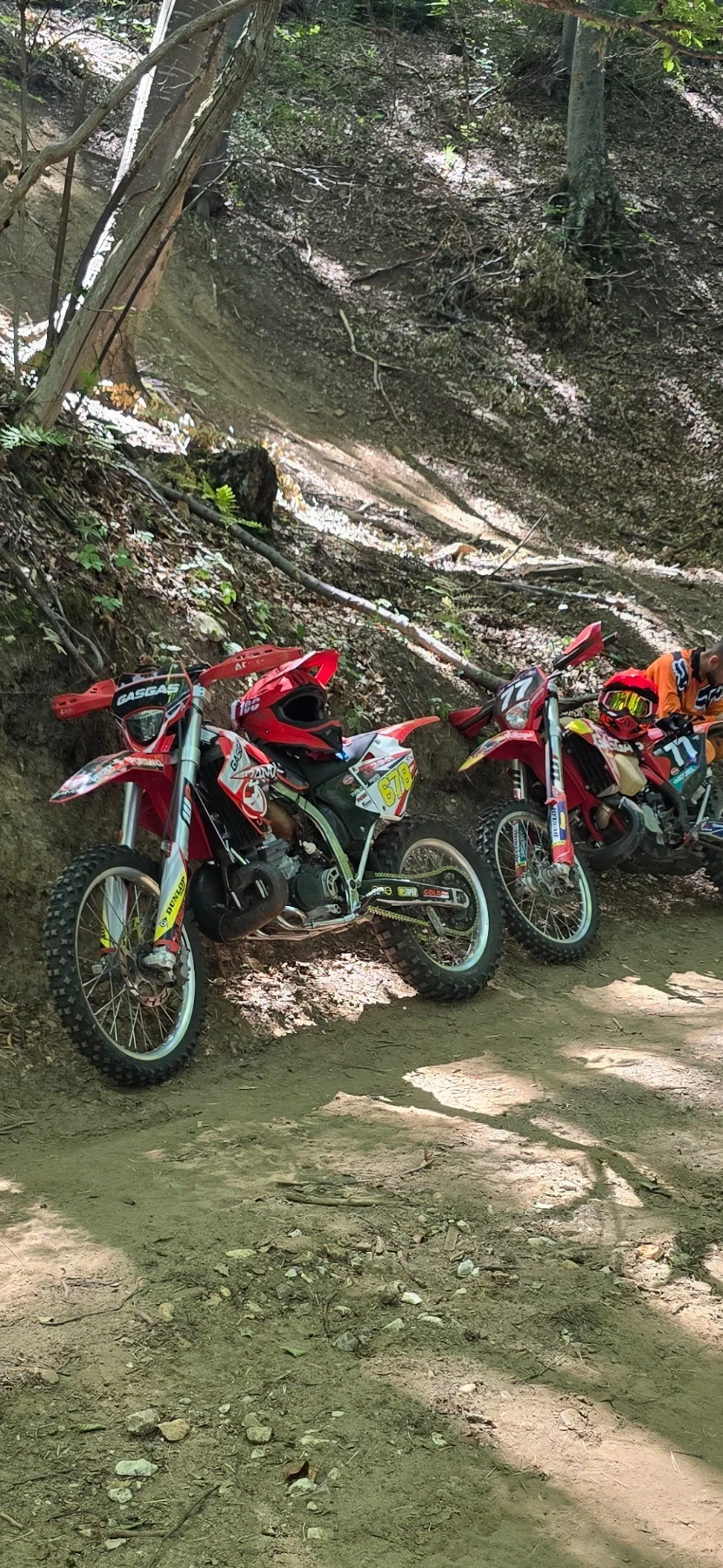 GASGAS EC 250 2Т - изображение 2