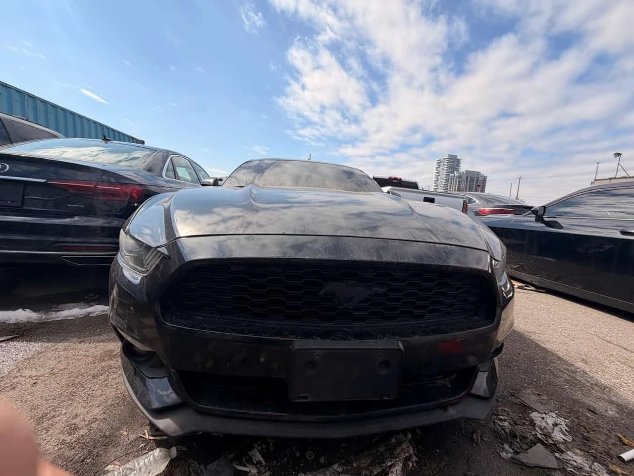 Ford Mustang * EcoBoost * ОБДУХВАНЕ * ПОДГРЕВИ * ФОЛИО, снимка 6 - Автомобили и джипове - 53946702