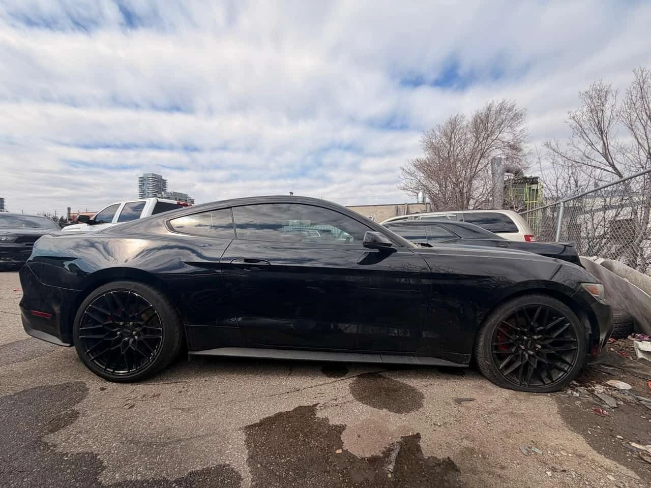 Ford Mustang * EcoBoost * ОБДУХВАНЕ * ПОДГРЕВИ * ФОЛИО, снимка 3 - Автомобили и джипове - 53946702