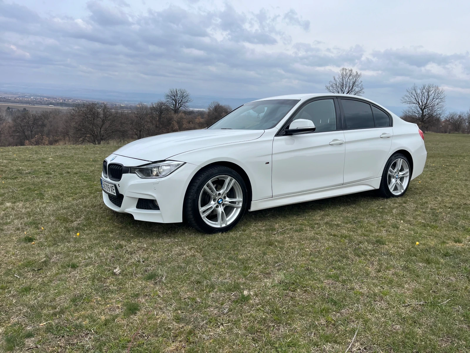 BMW 320, снимка 4 - Автомобили и джипове - 53929819