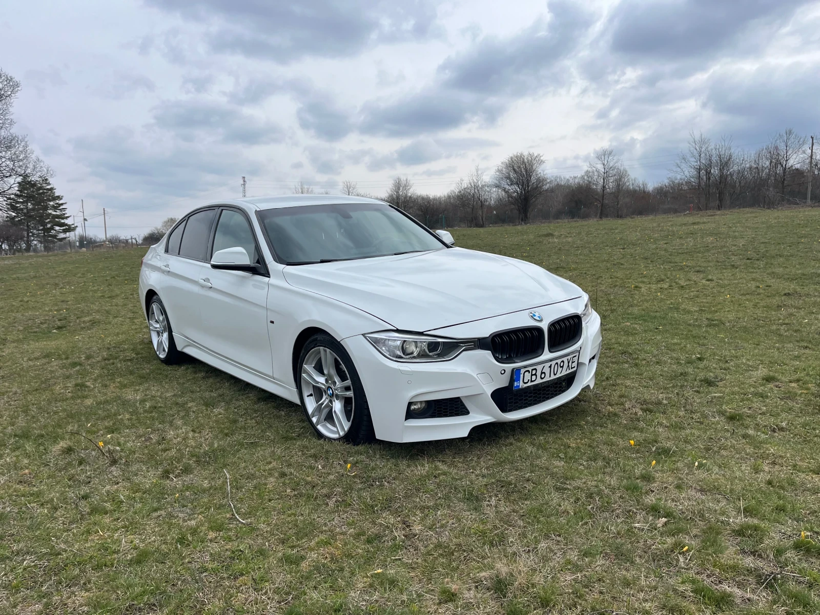 BMW 320, снимка 2 - Автомобили и джипове - 53929819