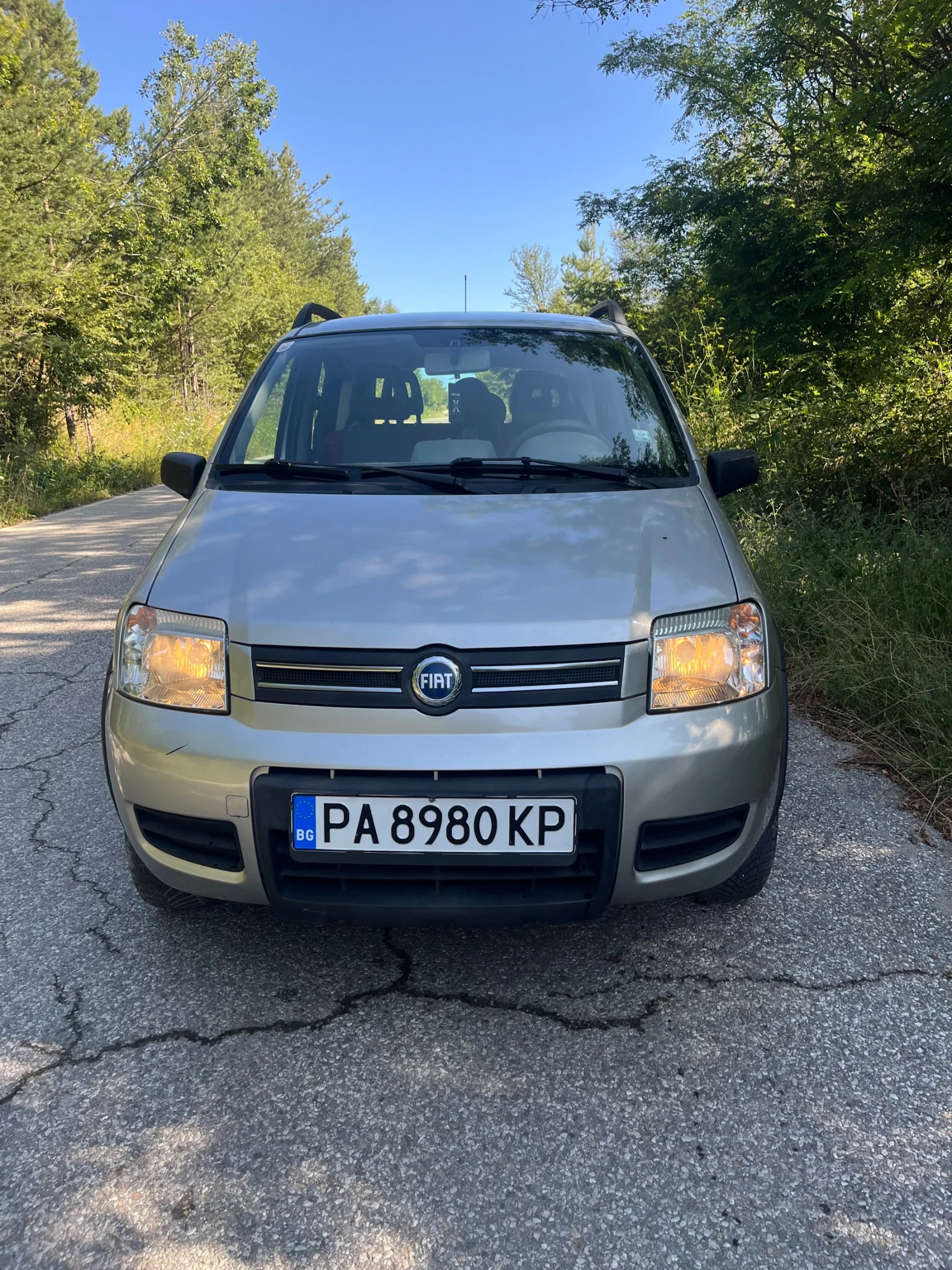 Fiat Panda 1.2i 4x4 КЛИМАТИК, снимка 2 - Автомобили и джипове - 55426937