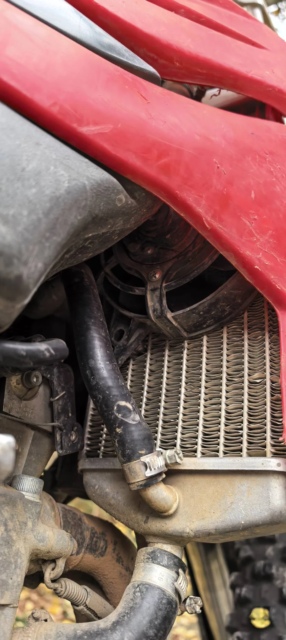 Beta Rr  - изображение 5