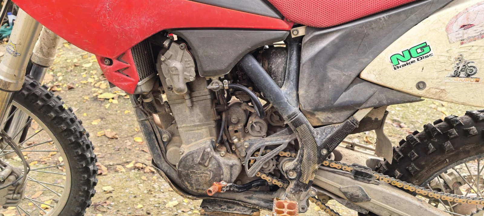 Beta Rr  - изображение 8