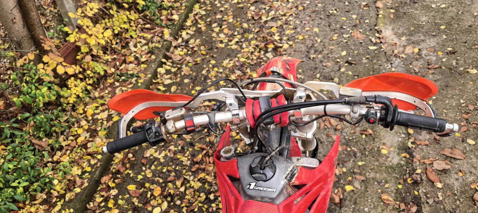 Beta Rr  - изображение 3