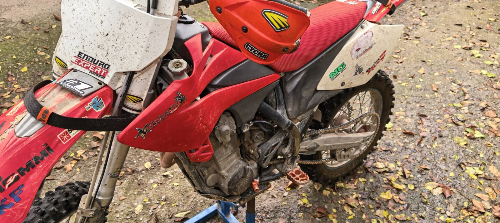 Beta Rr  - изображение 9