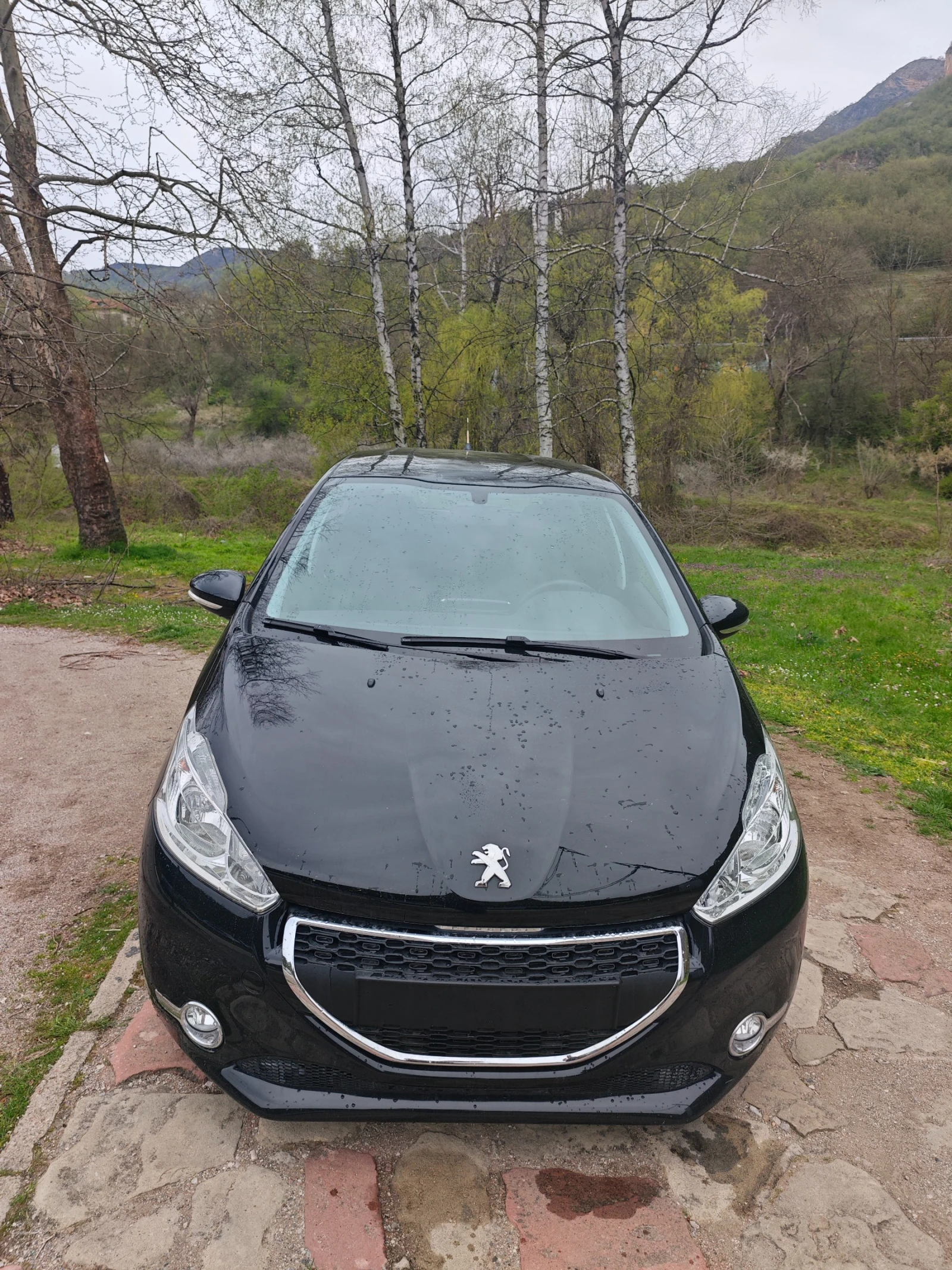 Peugeot 208 1.2I НОВ ВНОС, снимка 12 - Автомобили и джипове - 54358468