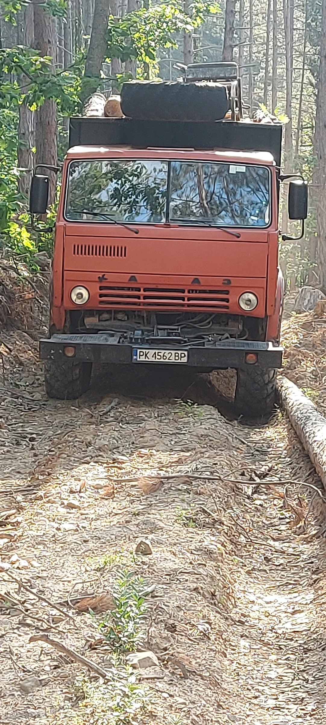 Kamaz 4310  - изображение 2