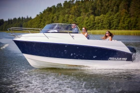 Лодка Собствено производство PEGAZUS 550, снимка 6