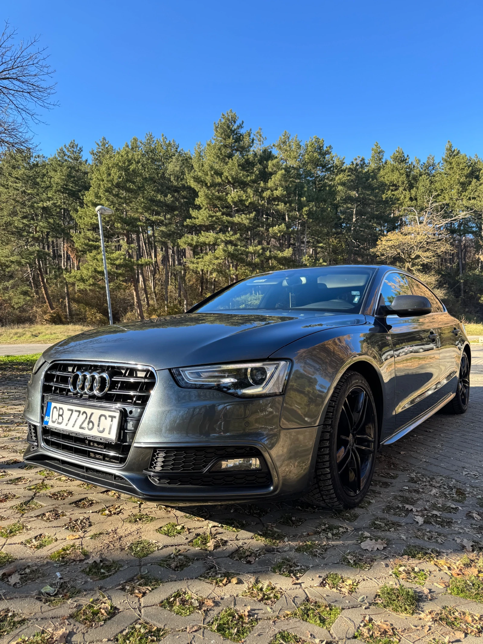 Audi A5  - изображение 10