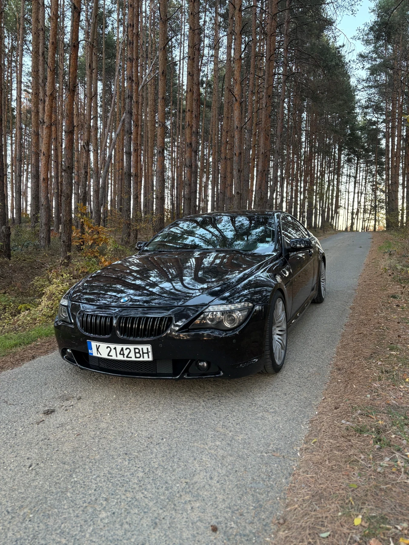 BMW 635 СПЕШНО - изображение 2