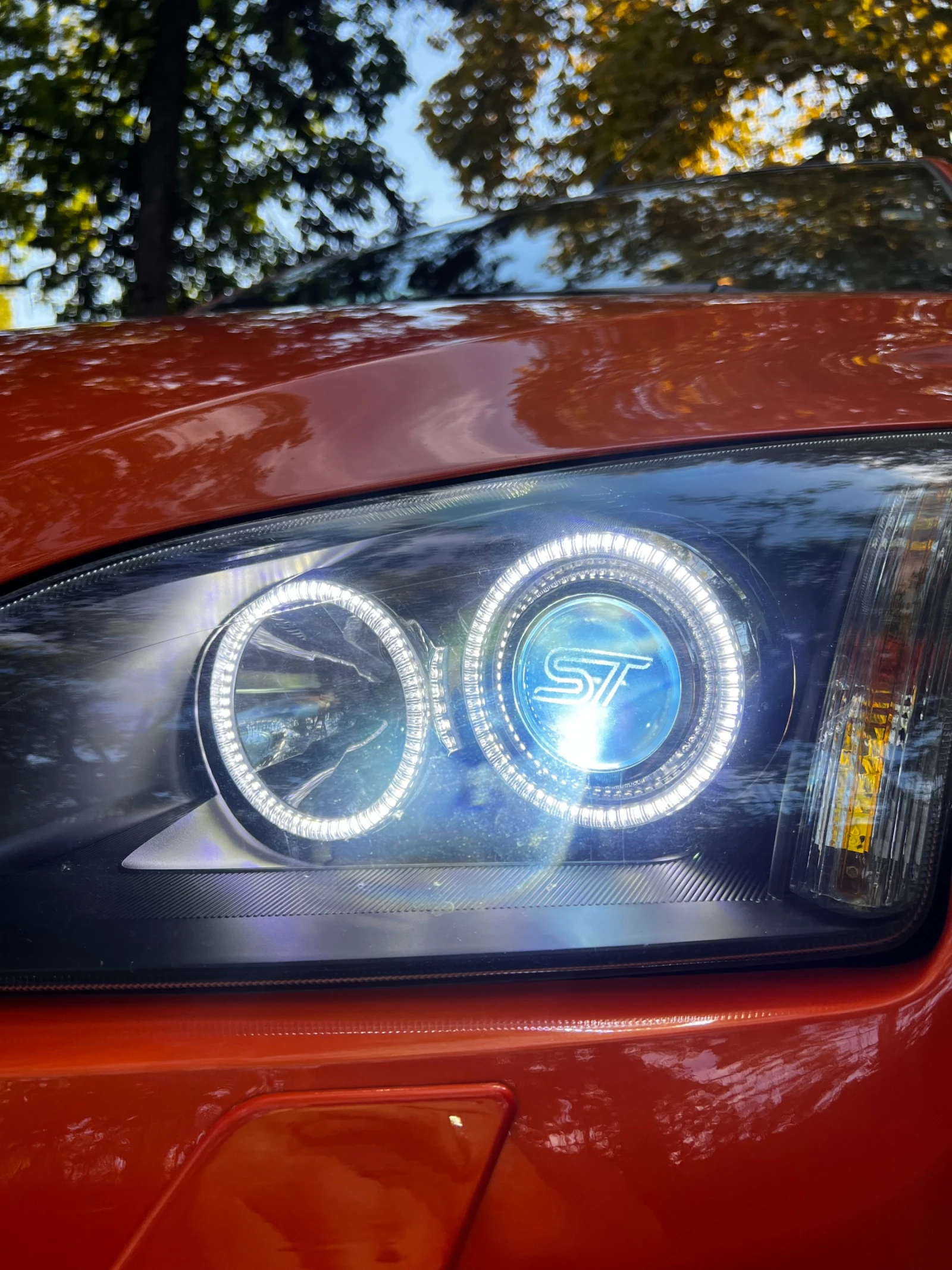 Ford Focus ST | Mobile.bg � ����������� 15