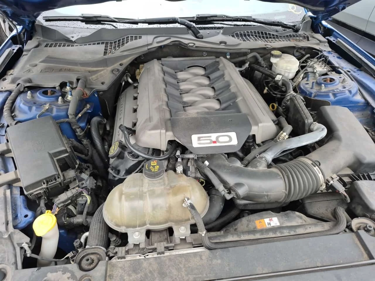 Ford Mustang * GT PREMIUM * CARFAX * , снимка 17 - Автомобили и джипове - 56700183