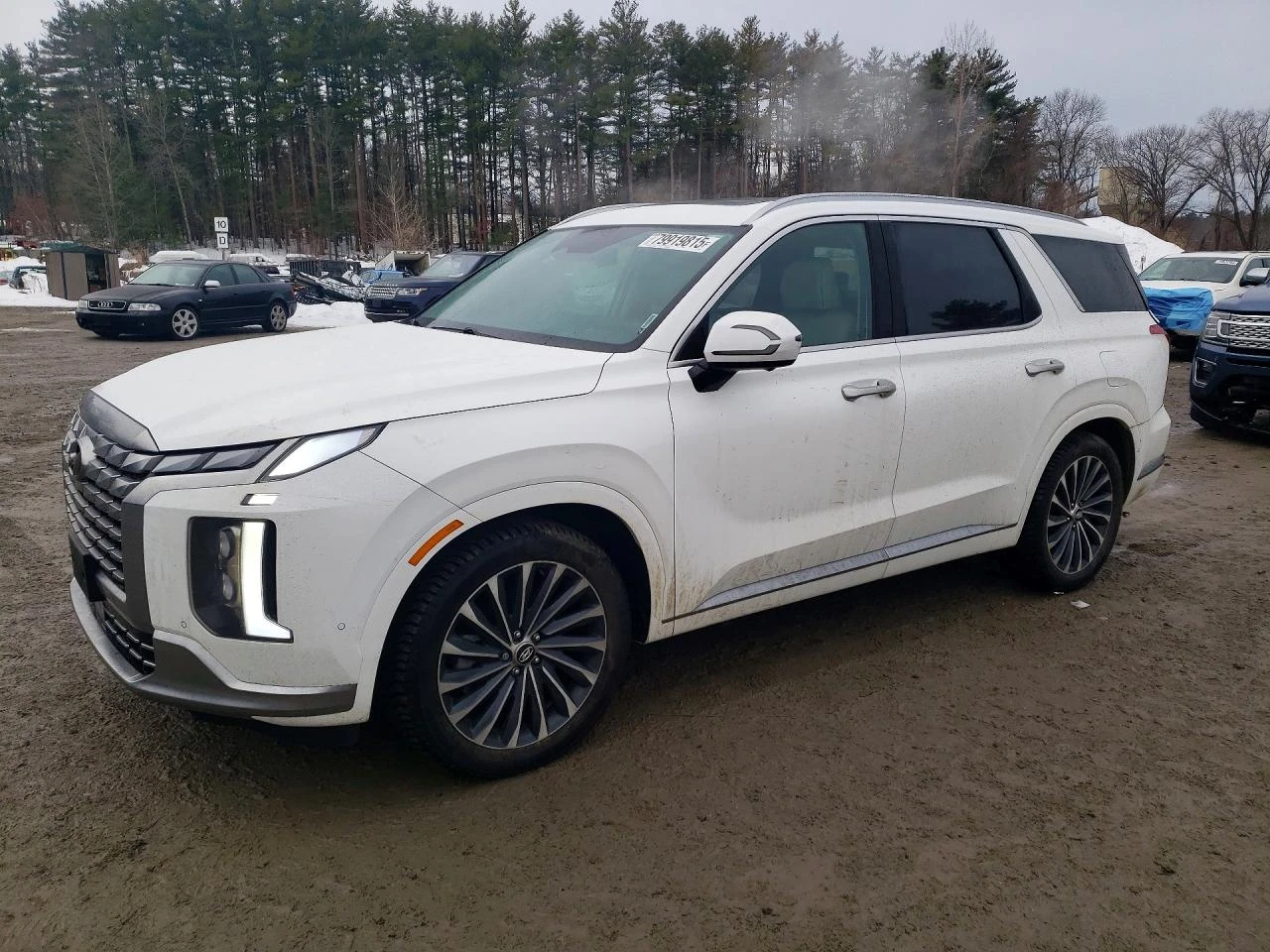 Hyundai Palisade * CALLIGRAPHY* AWD*  | Mobile.bg � ����������� 1