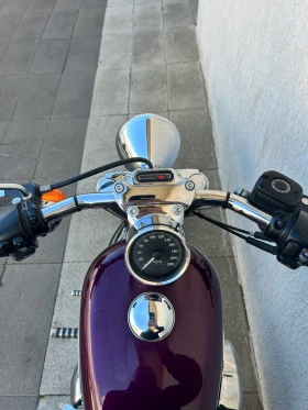 Harley-Davidson Sportster XL 1200 C, снимка 10