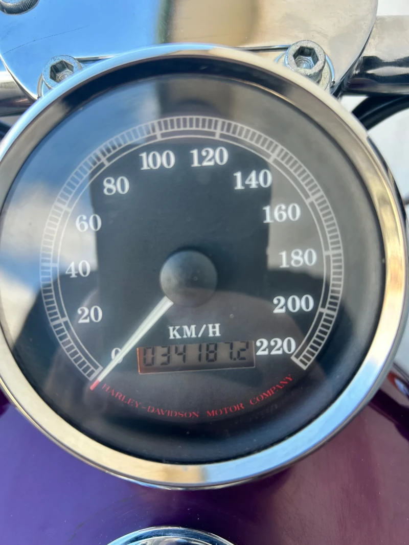 Harley-Davidson Sportster XL 1200 C, снимка 9 - Мотоциклети и мототехника - 52690340