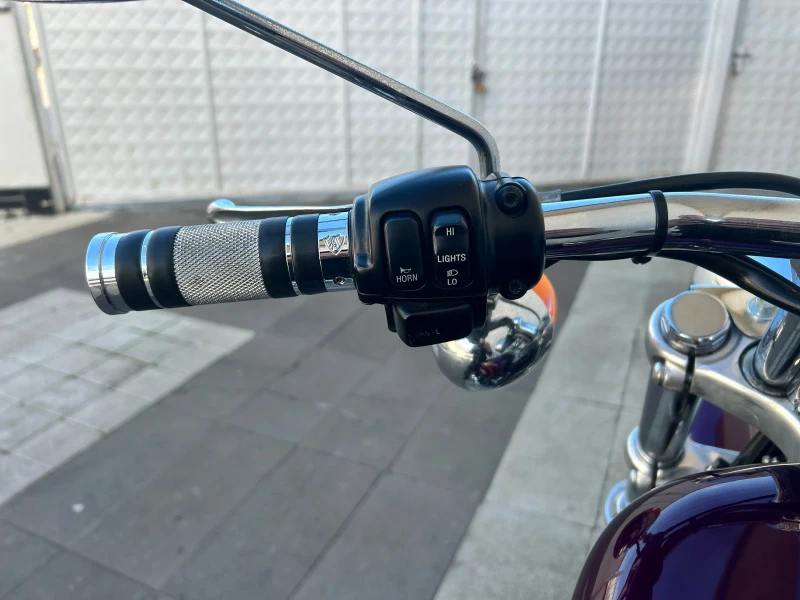 Harley-Davidson Sportster XL 1200 C, снимка 8 - Мотоциклети и мототехника - 52690340