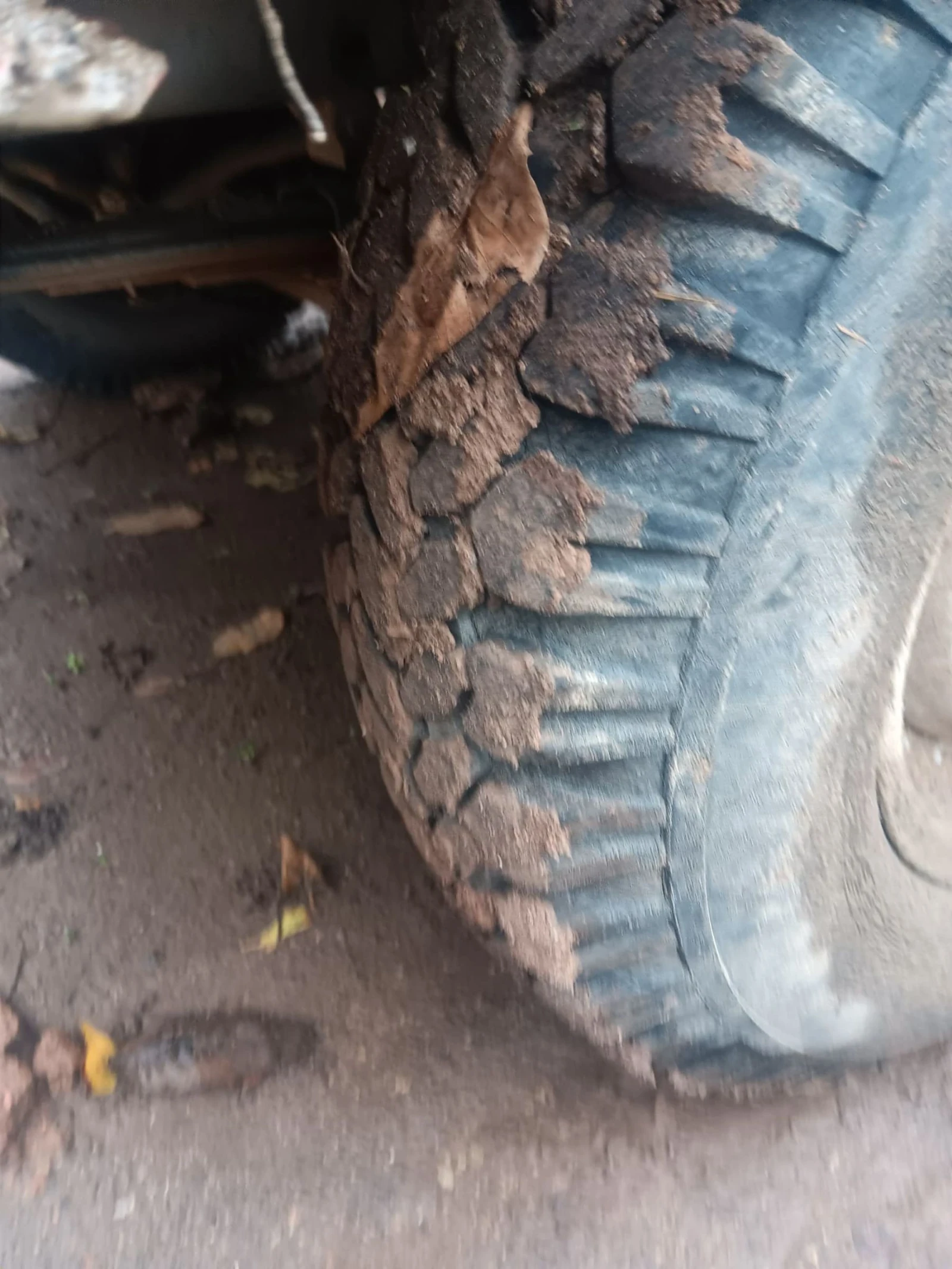 Uaz 469  - изображение 2