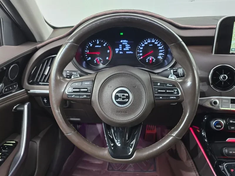 Kia Stinger 2.2 Diesel 2Wd Platinum, снимка 13 - Автомобили и джипове - 56356915