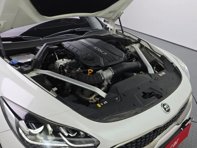 Kia Stinger 2.2 Diesel 2Wd Platinum, снимка 6 - Автомобили и джипове - 56356915