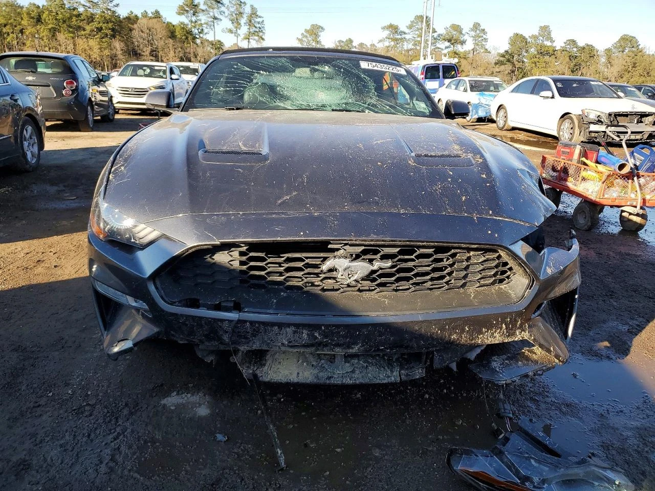 Ford Mustang 2.3l Ecoboost Premium * Крайна цена до БГ* , снимка 5 - Автомобили и джипове - 53907603