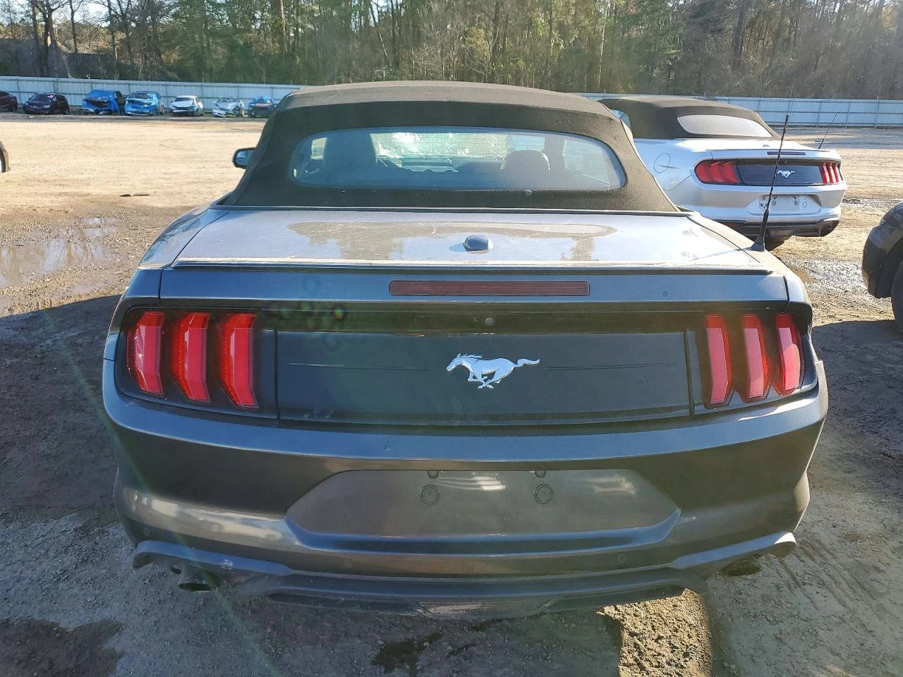 Ford Mustang 2.3l Ecoboost Premium * Крайна цена до БГ* , снимка 6 - Автомобили и джипове - 53907603