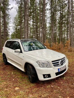 Mercedes-Benz GLK GLK 220 CDI BlueEFFICIENCY 4MATIC | Mobile.bg    2