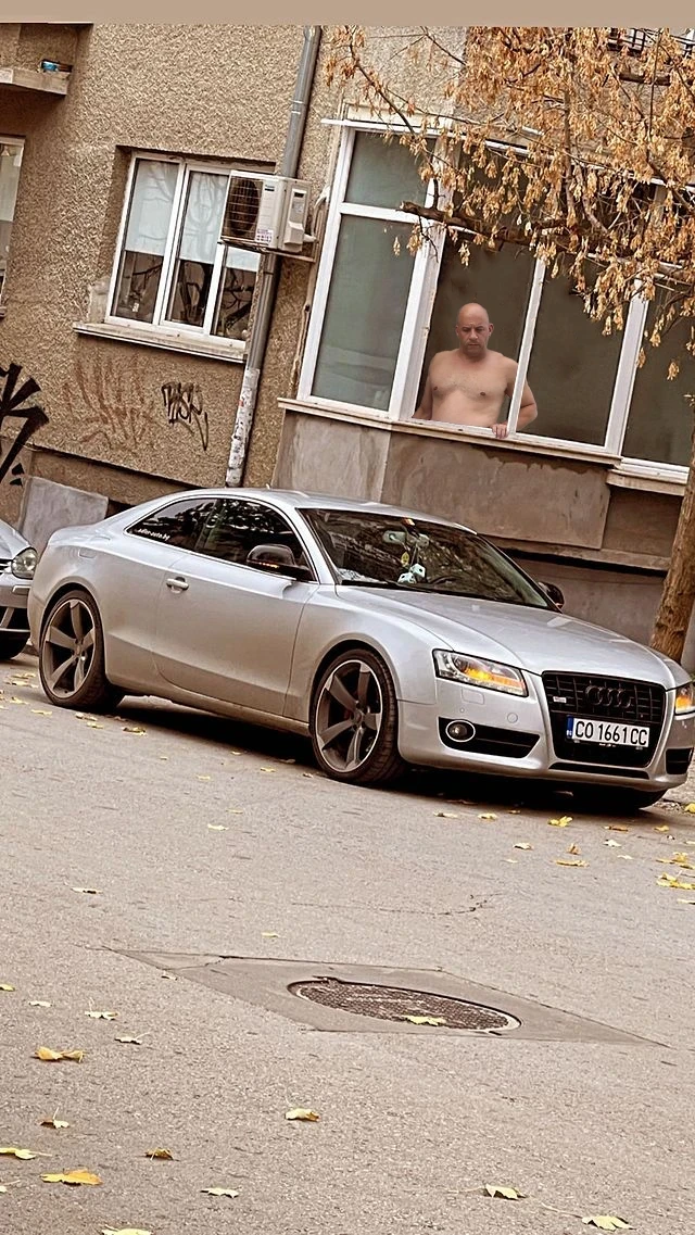 Audi A5 344к.с. CAPA - изображение 6