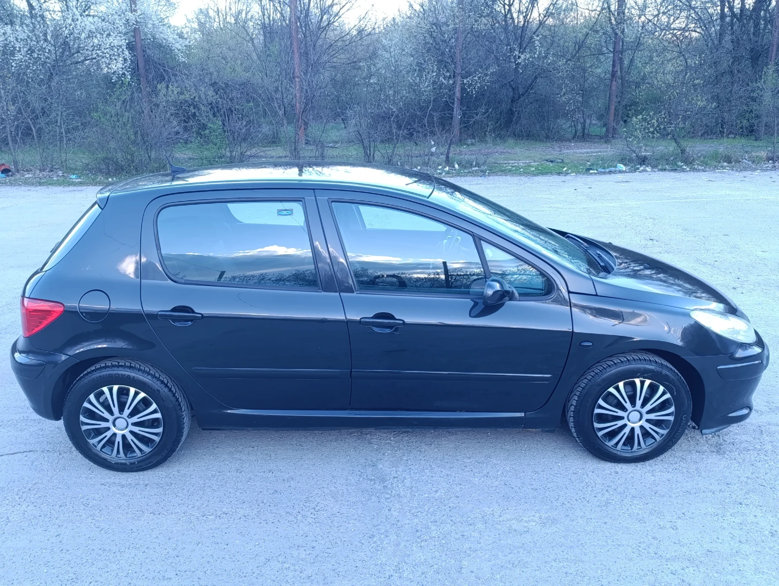 Peugeot 307 1.6i, снимка 3 - Автомобили и джипове - 55352731