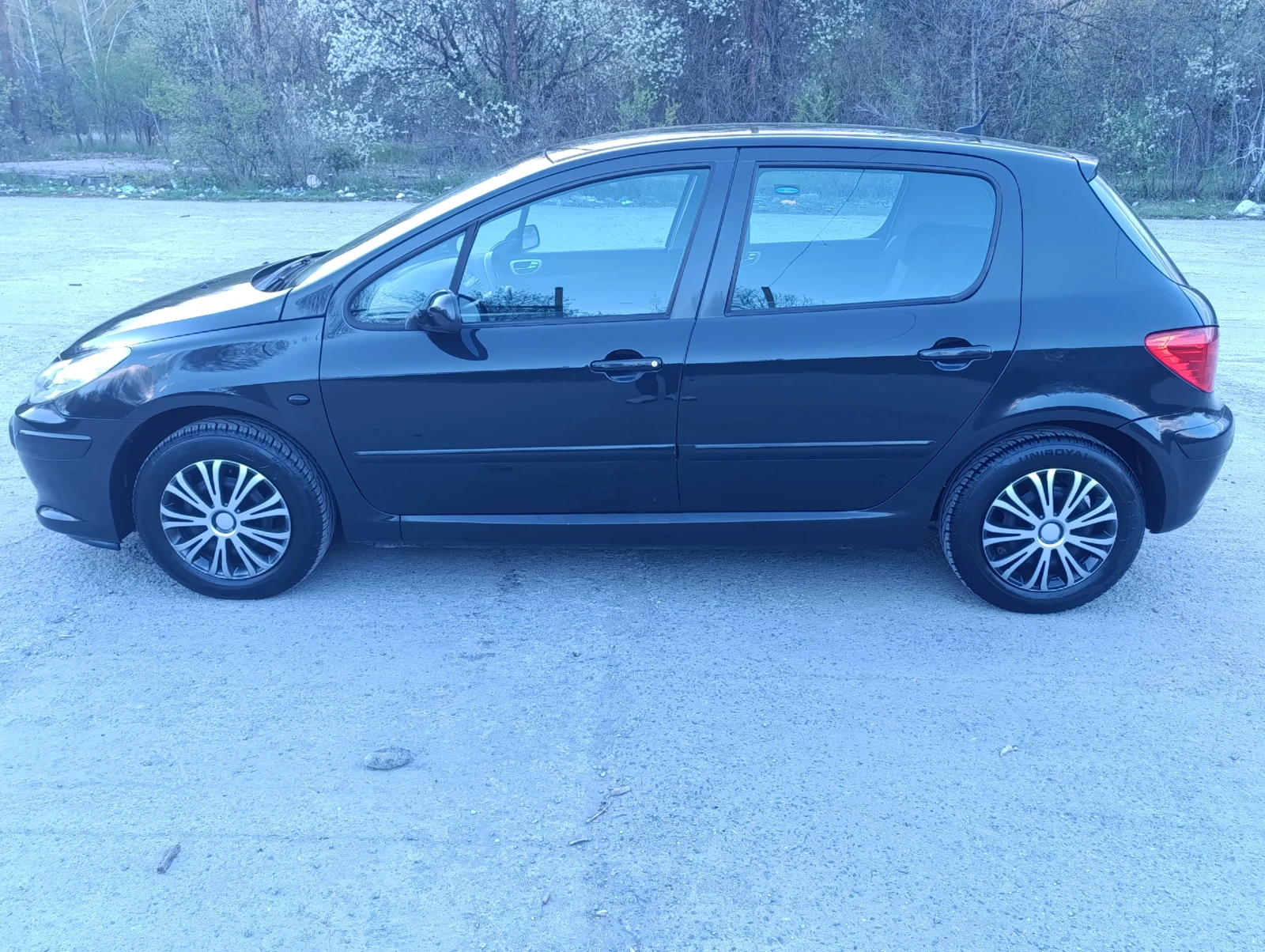 Peugeot 307 1.6i, снимка 4 - Автомобили и джипове - 55352731