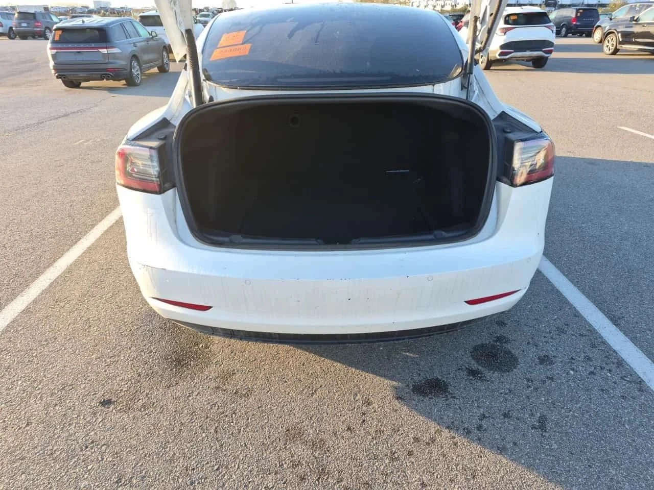 Tesla Model 3 | Mobile.bg � ����������� 14