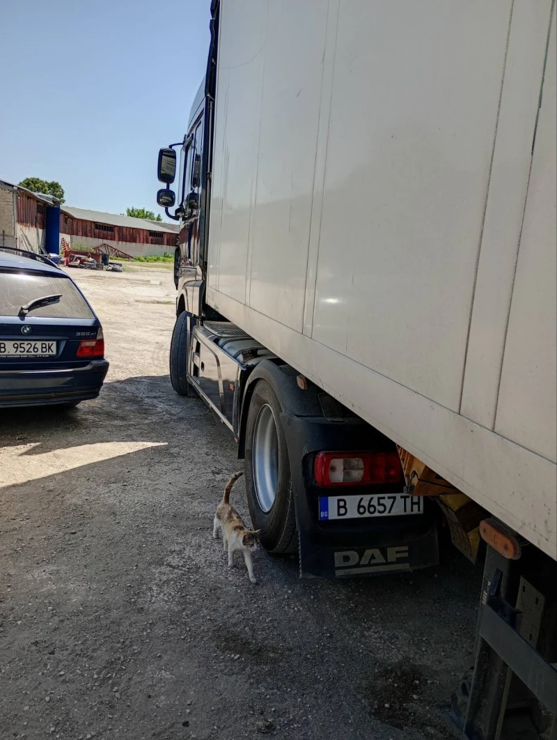 Daf XF xf, снимка 2 - Камиони - 47489717