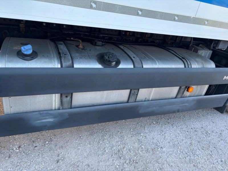 Man Tgs Хладилник, снимка 4 - Камиони - 52893151