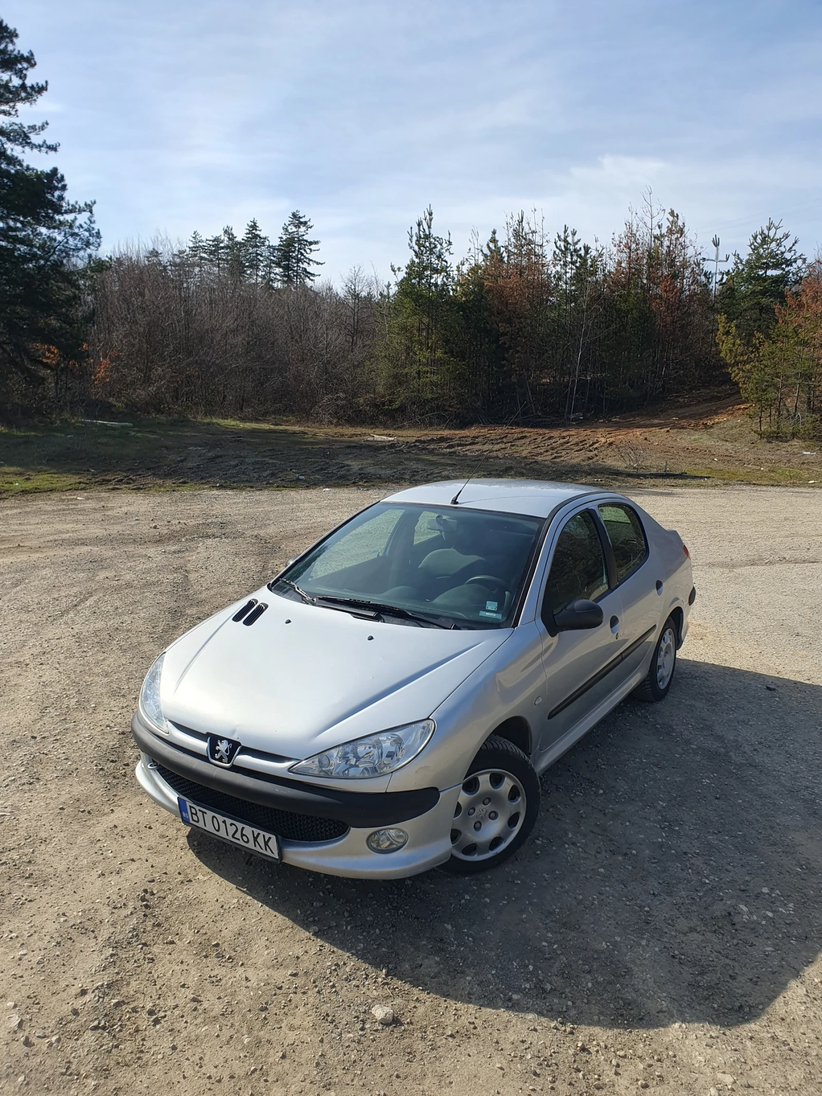 Peugeot 206  1.4 бензин, снимка 2 - Автомобили и джипове - 53756282