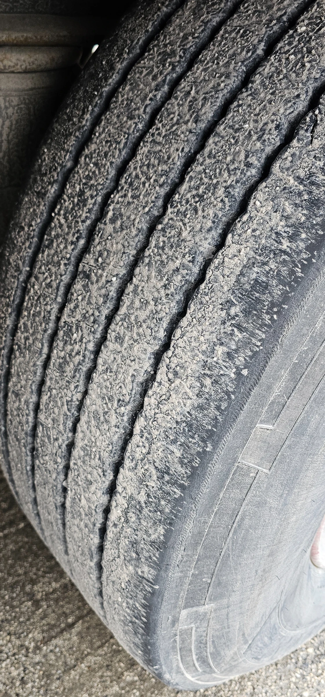 ����������� Krone ���� | Mobile.bg � ����������� 8