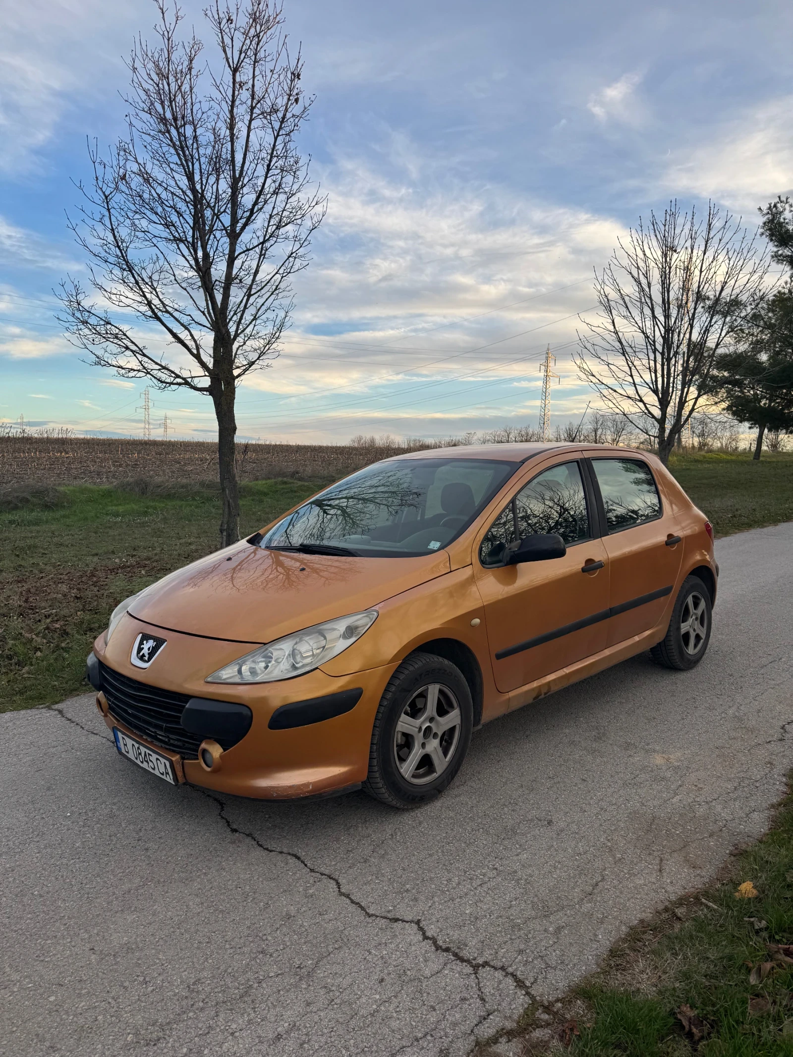 Peugeot 307 1.6hdi, снимка 1