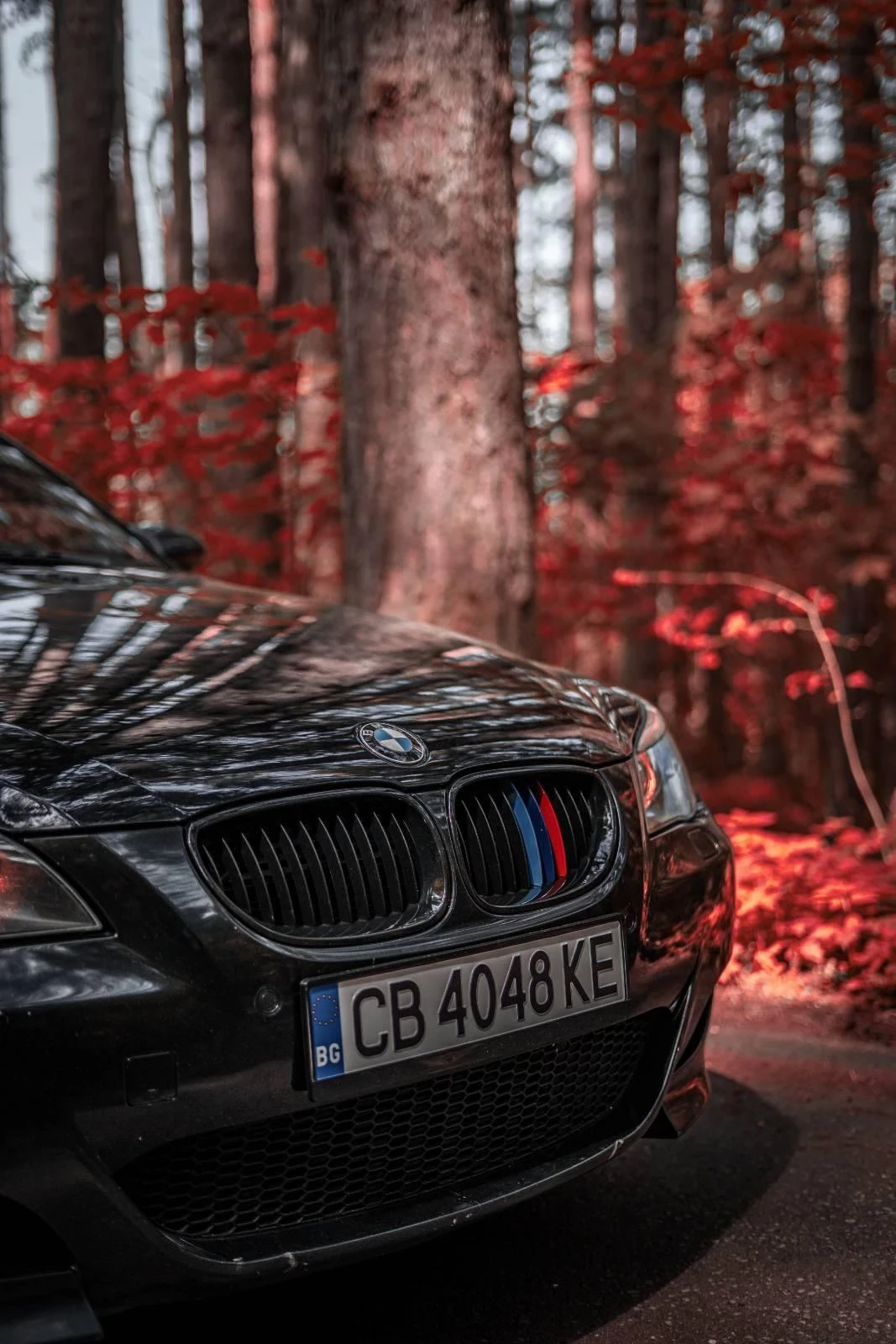 BMW M5 MAGNA FLOW/  | Mobile.bg   15
