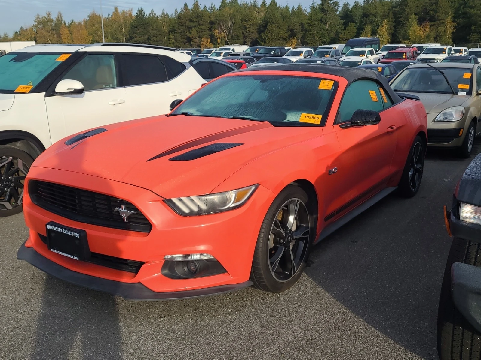 Ford Mustang GT PREMIUM CARFAX * *   * *  | Mobile.bg   1