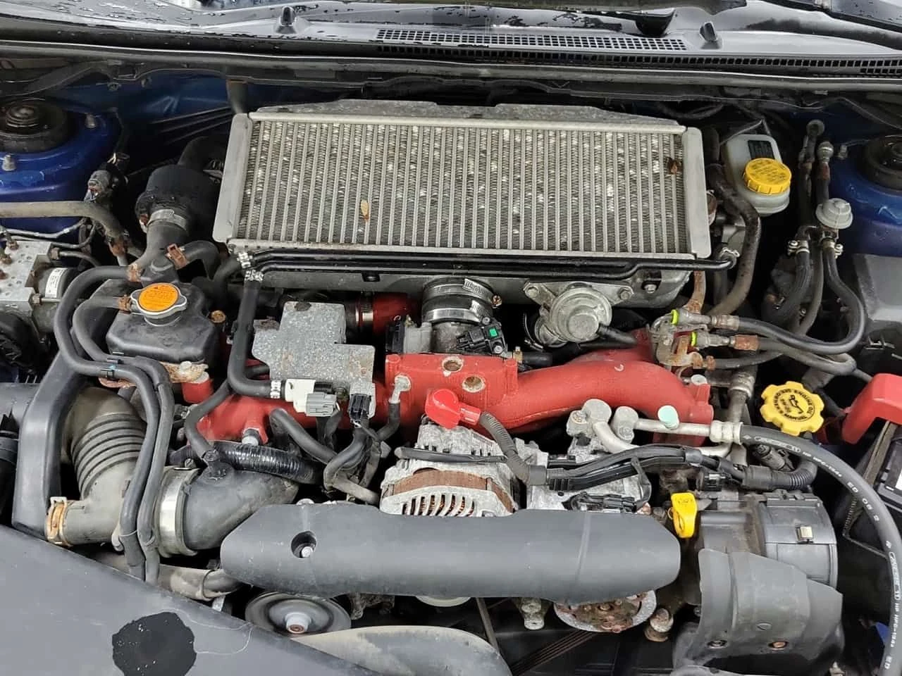 Subaru WRX * STI * CARFAX * ЦЕНА ДО БГ, снимка 17 - Автомобили и джипове - 54123375