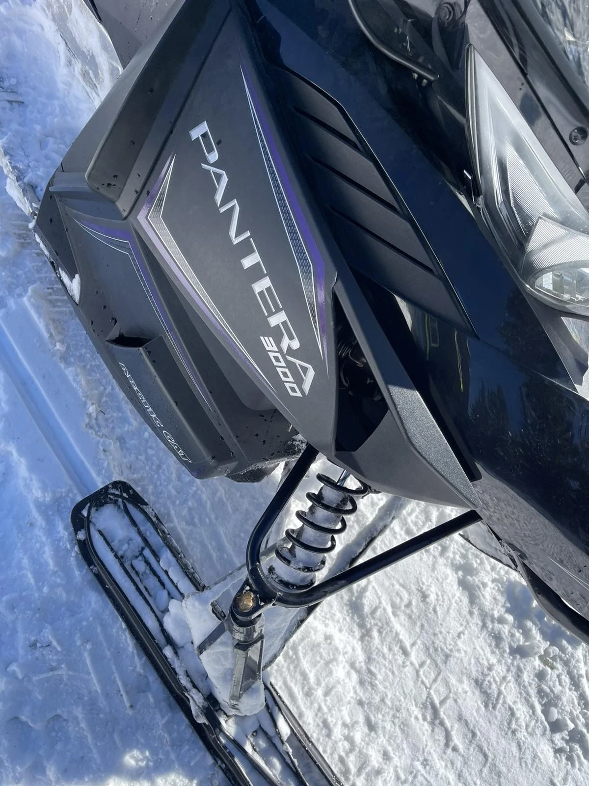 Arctic Cat Thundercat PANTERA 3000 - изображение 7