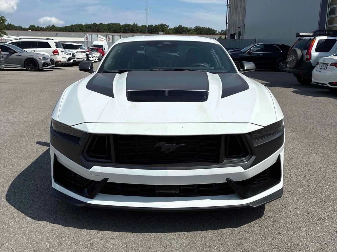 Ford Mustang * Dark Horse * ���������� ��� ������������ ������* | Mobile.bg � ����������� 6