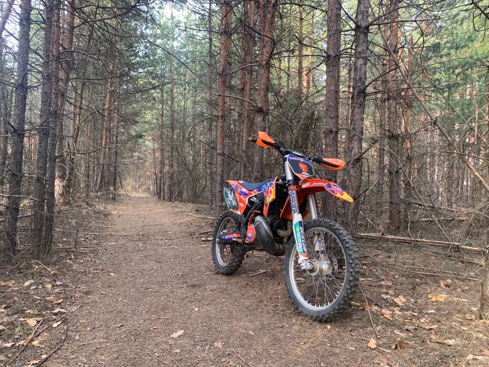 Ktm 250 SX