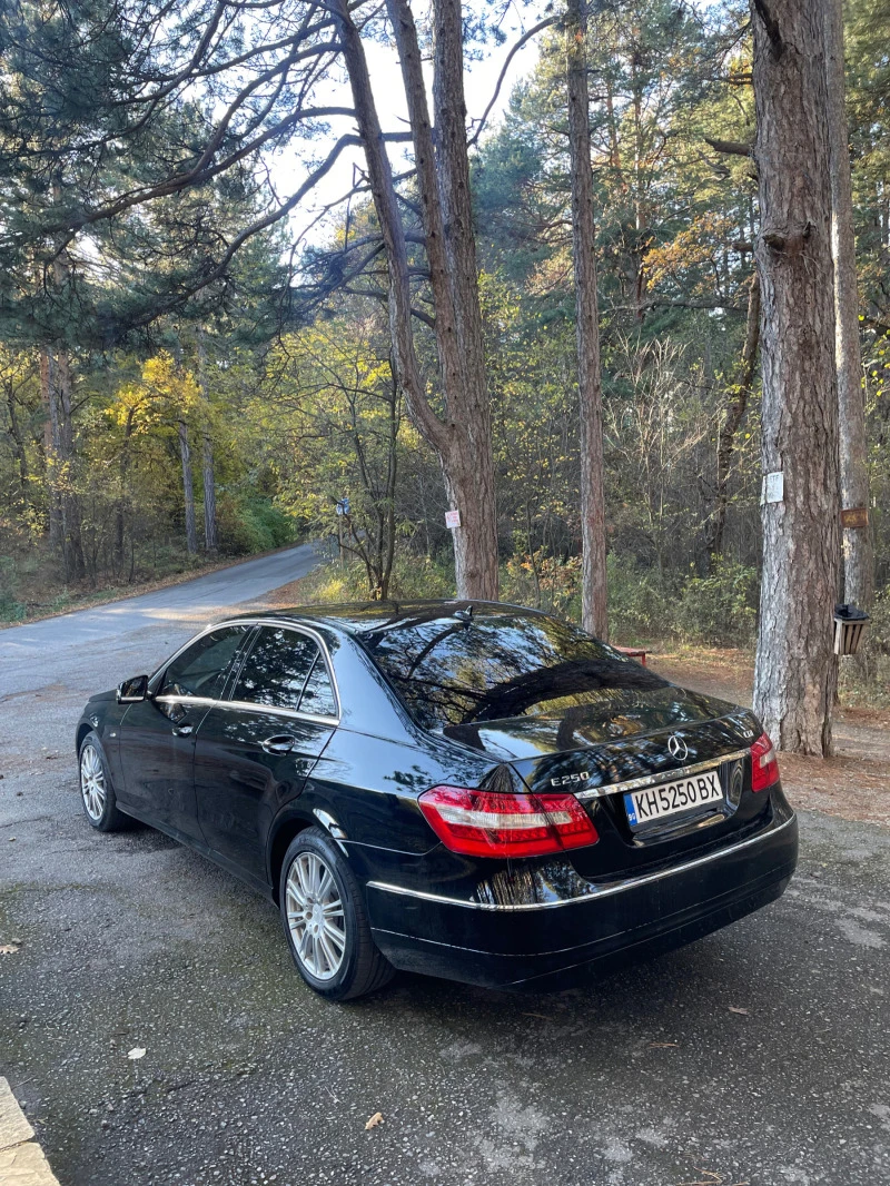 Mercedes-Benz E 250 4 местен, снимка 5 - Автомобили и джипове - 47875879