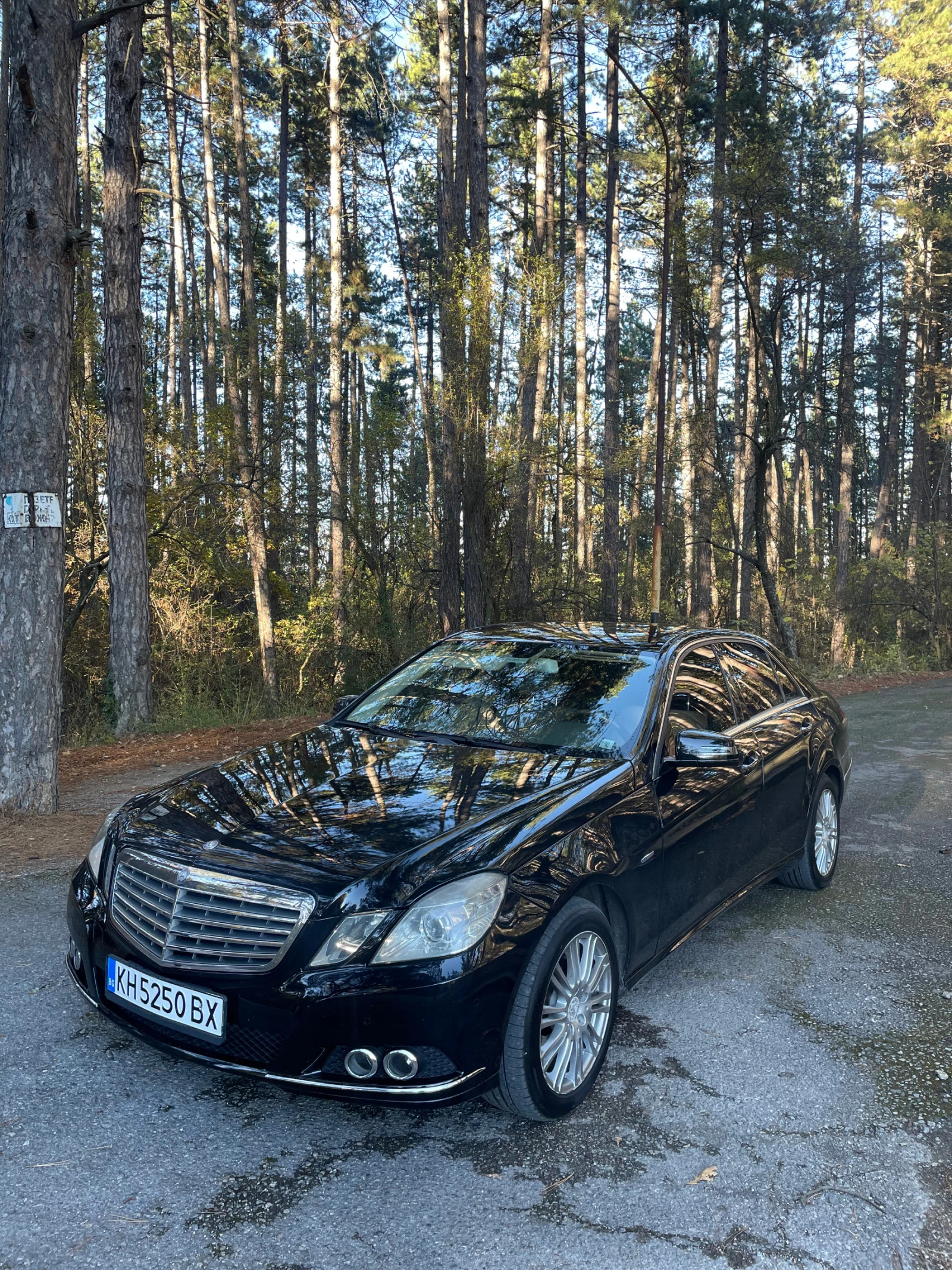 Mercedes-Benz E 250 4 местен - изображение 2