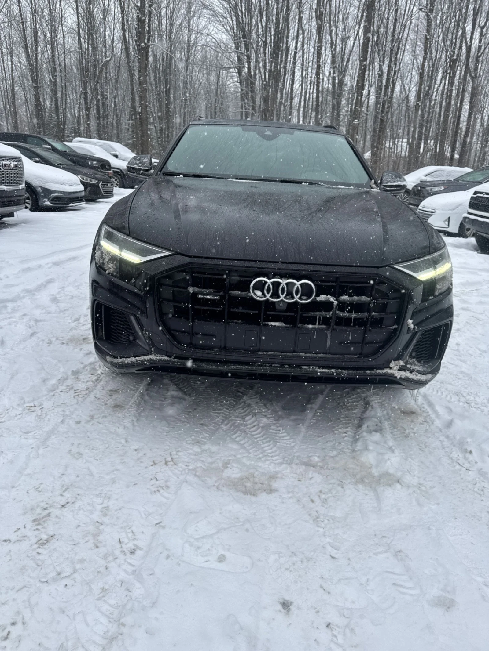 Audi Q8 CARFAX * * ���� ������ * *  | Mobile.bg � ����������� 2