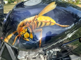 Honda Hornet, снимка 2