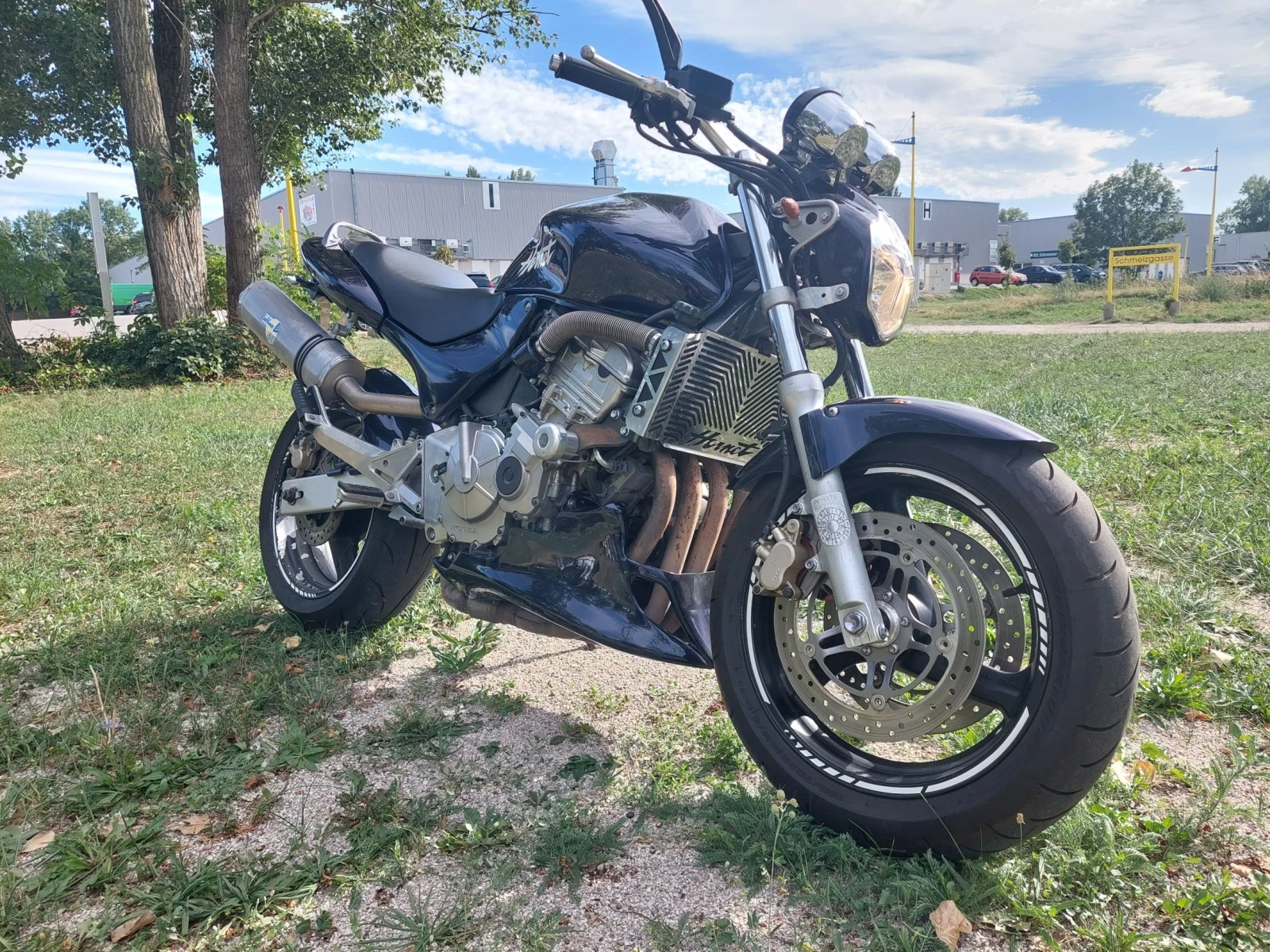 Honda Hornet