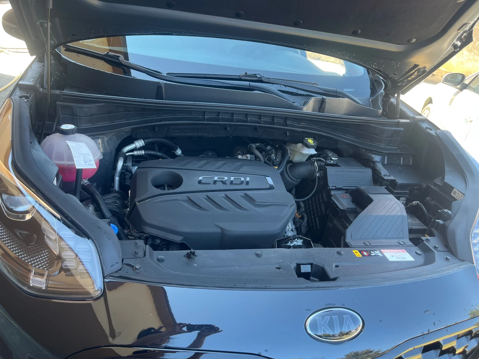 Kia Sportage 1.6 CRDI MILD HYBRID, снимка 12 - Автомобили и джипове - 55501557