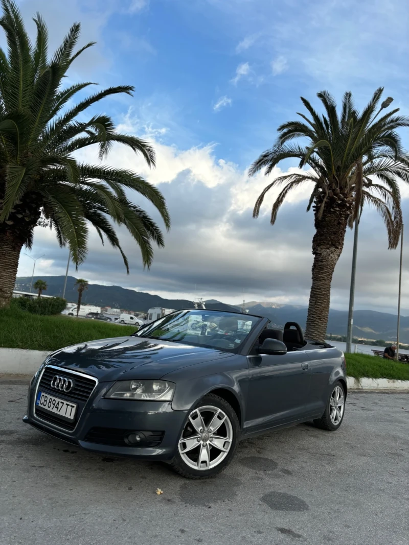 Audi A3 Audi A3 CABRIO 1.6TDI, снимка 3 - Автомобили и джипове - 47434878