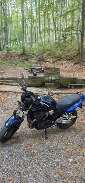 Suzuki Bandit 1200, снимка 6